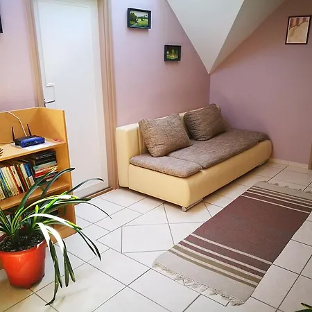 Kovács 3*
