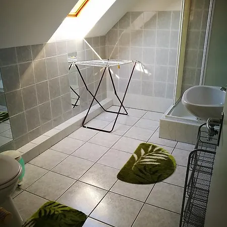 Kovacs Vendeghaz Buk